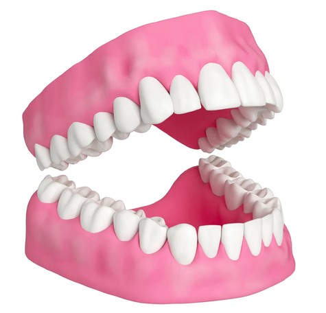 cosmetic dentistry carrollwood