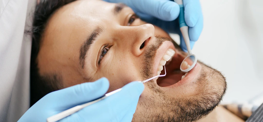 dental exams carrollwood